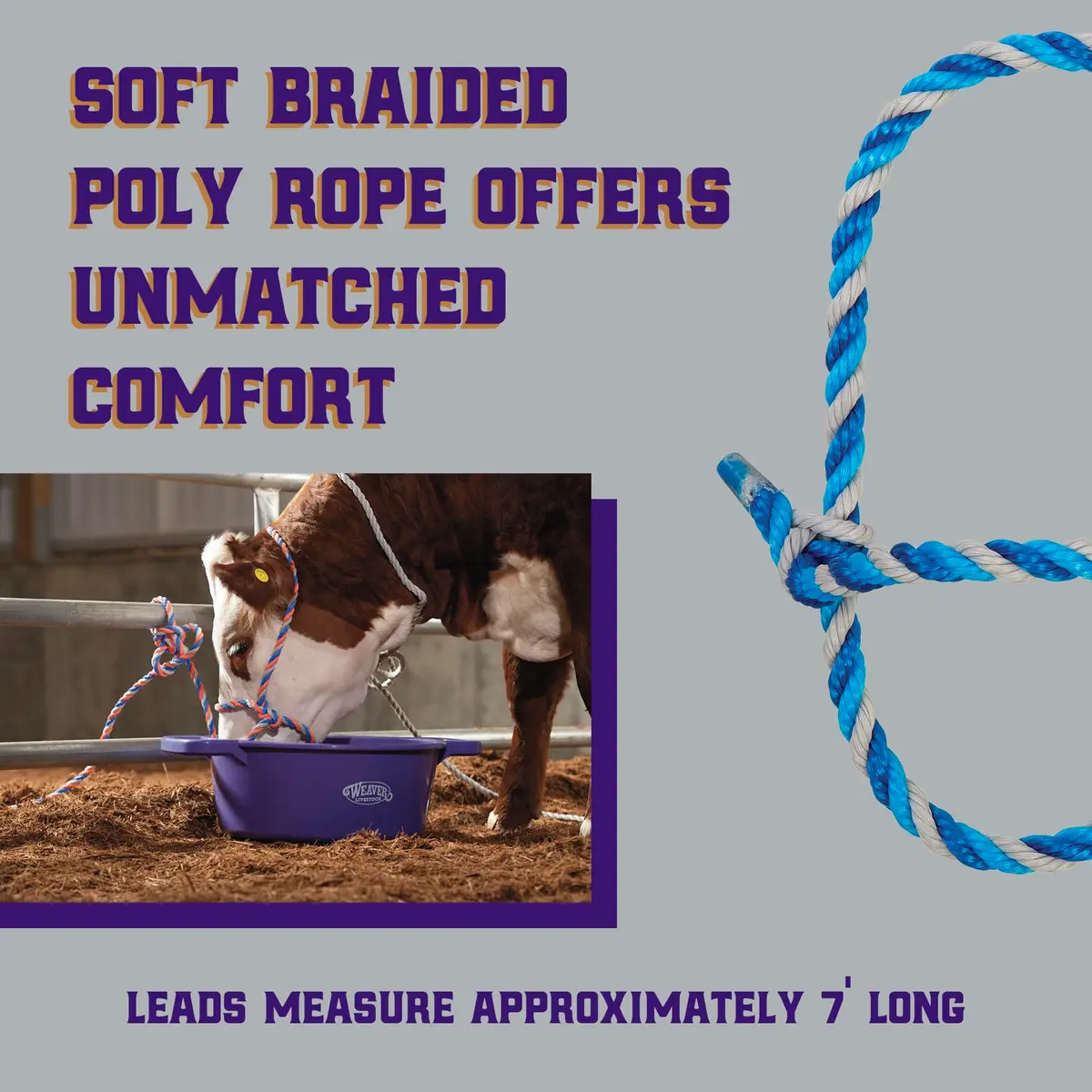 Weaver Livestock Braided Poly Rope Cattle Halter, Adjustable Cow Calf Halter, Livestock Handling Equipment for Showing, Dark Blue/Hurricane Blue/Gray | Durable, Adjustable & Comfortable - view 3