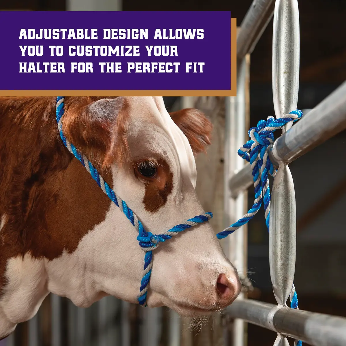Weaver Livestock Braided Poly Rope Cattle Halter, Adjustable Cow Calf Halter, Livestock Handling Equipment for Showing, Dark Blue/Hurricane Blue/Gray | Durable, Adjustable & Comfortable - view 4