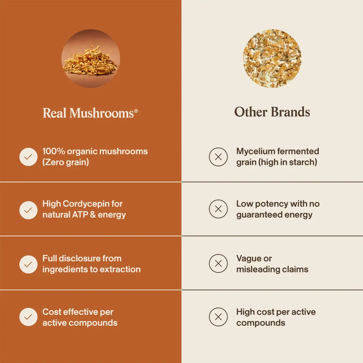 Real Mushrooms Cordyceps Mushroom Powder 60 Servings | Organic Energy & Wellness Support - view 6