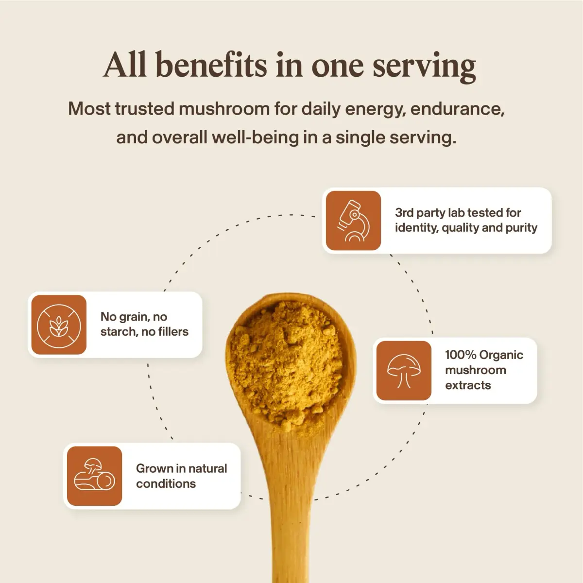 Real Mushrooms Cordyceps Mushroom Powder 60 Servings | Organic Energy & Wellness Support - view 7