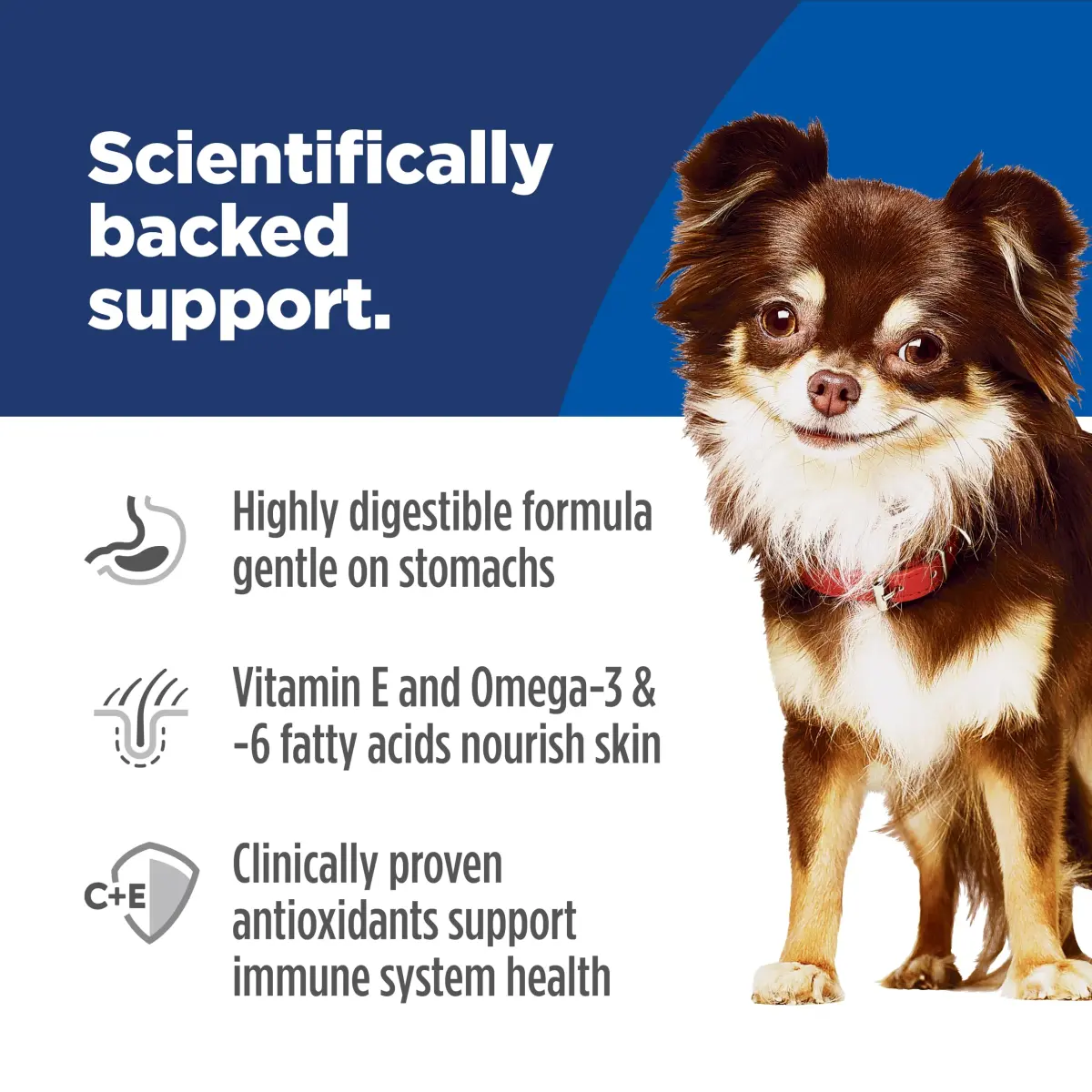 Hill's Science Diet Sensitive Stomach & Skin Small & Mini Dry Dog Food Chicken Recipe 1.81 kg (4 lb) | Vet-Recommended for Digestive & Skin Health - view 3