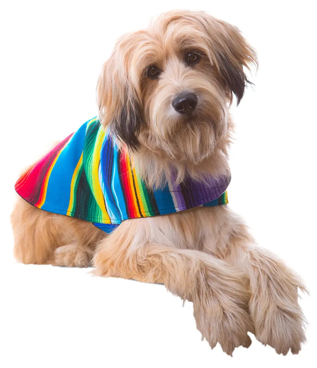 Baja Ponchos Handmade Dog Poncho Large | Unique Mexican Blanket Dog Coat (Blue, Large) - main product image