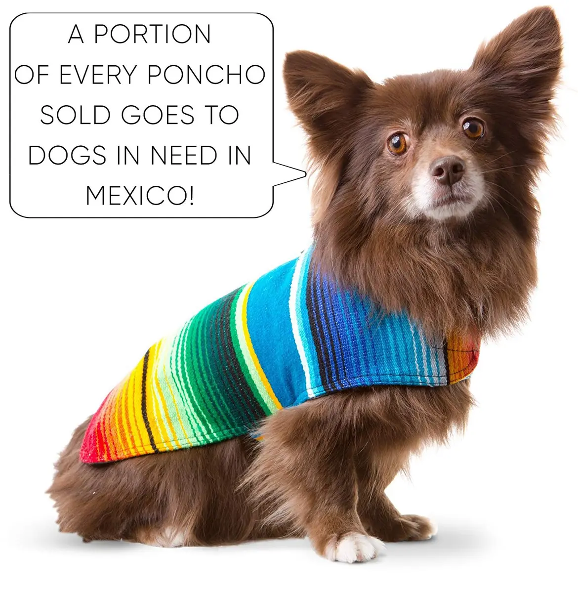Baja Ponchos Handmade Dog Poncho Large | Unique Mexican Blanket Dog Coat (Blue, Large) - view 2