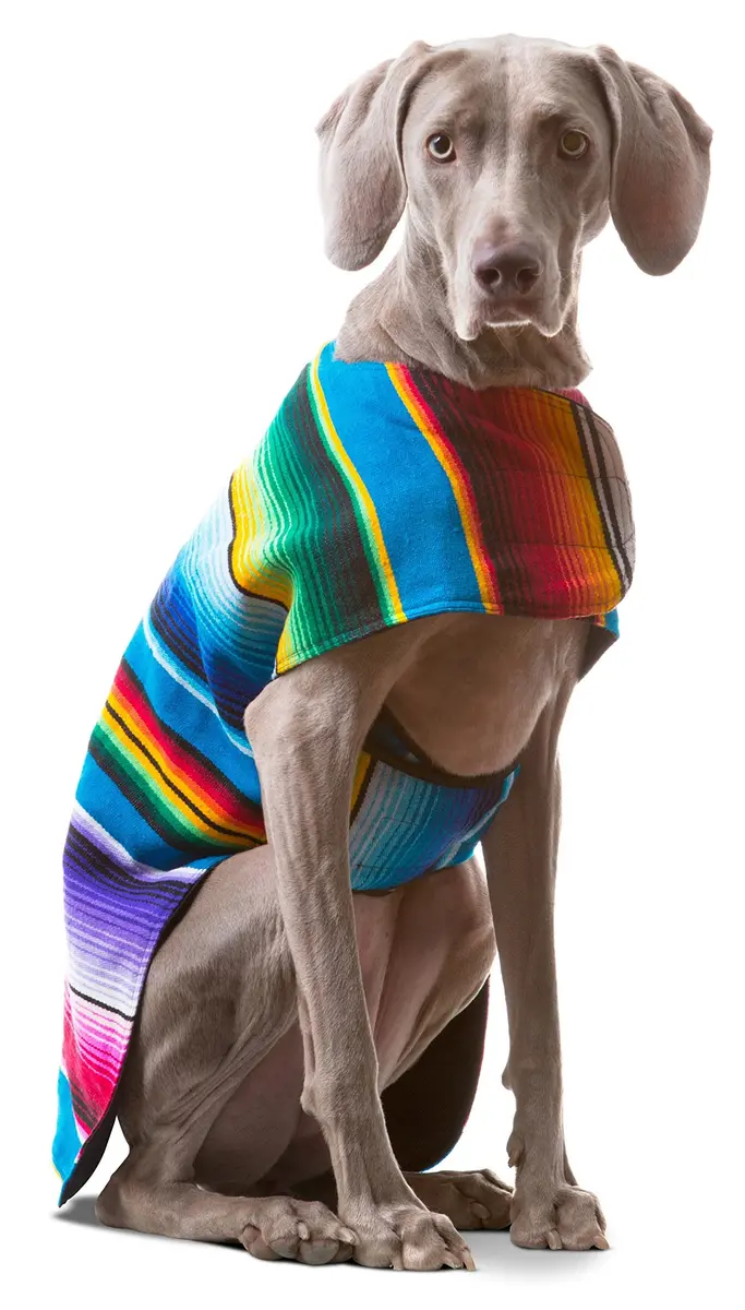 Baja Ponchos Handmade Dog Poncho Large | Unique Mexican Blanket Dog Coat (Blue, Large) - view 4