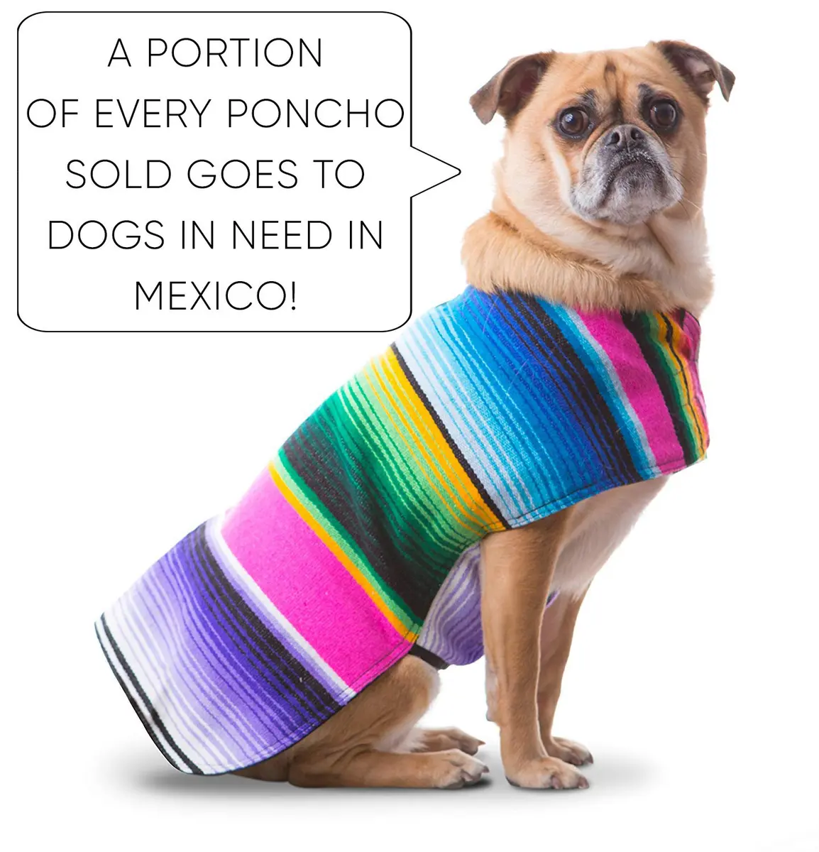 Baja Ponchos Handmade Dog Poncho XXS | Cinco De Mayo Chihuahua Costume from Authentic Mexican Blanket (Pink, XXS) - view 3