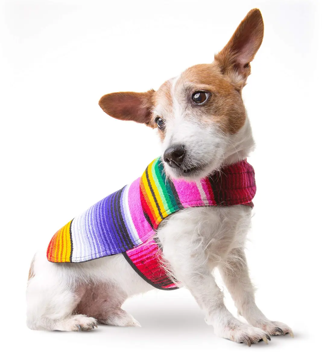 Baja Ponchos Handmade Dog Poncho XXS | Cinco De Mayo Chihuahua Costume from Authentic Mexican Blanket (Pink, XXS) - view 4