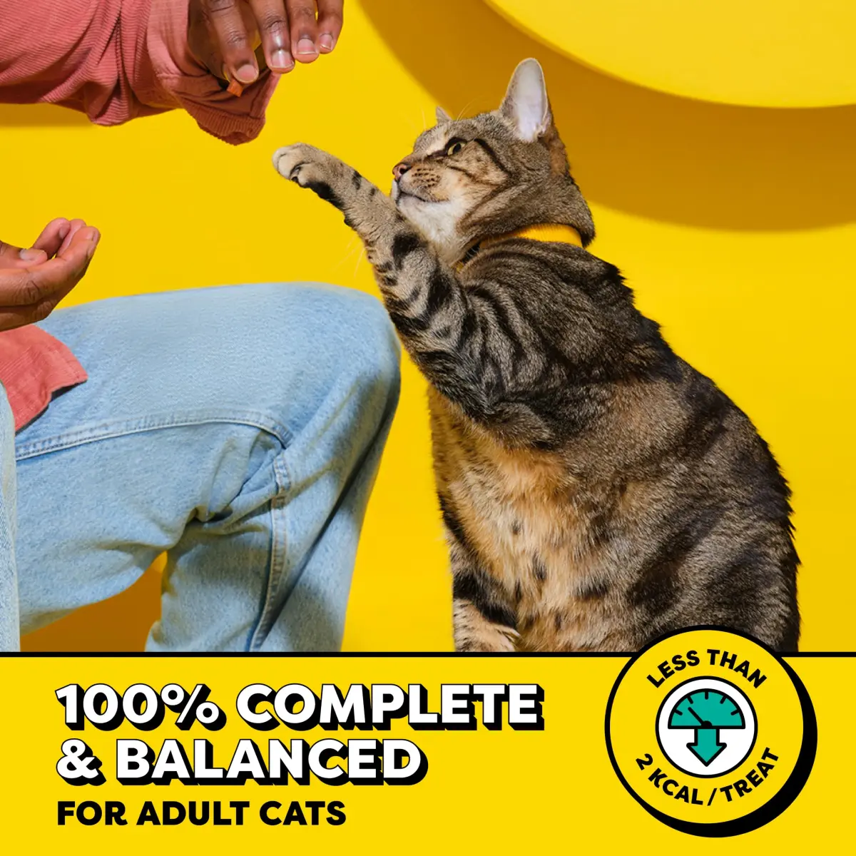 Temptations Classic Crunchy Cat Treats Blissful Catnip 6.3 oz (179 g) 10 Pack | Irresistible Dual-Texture for Adult Cats - view 3