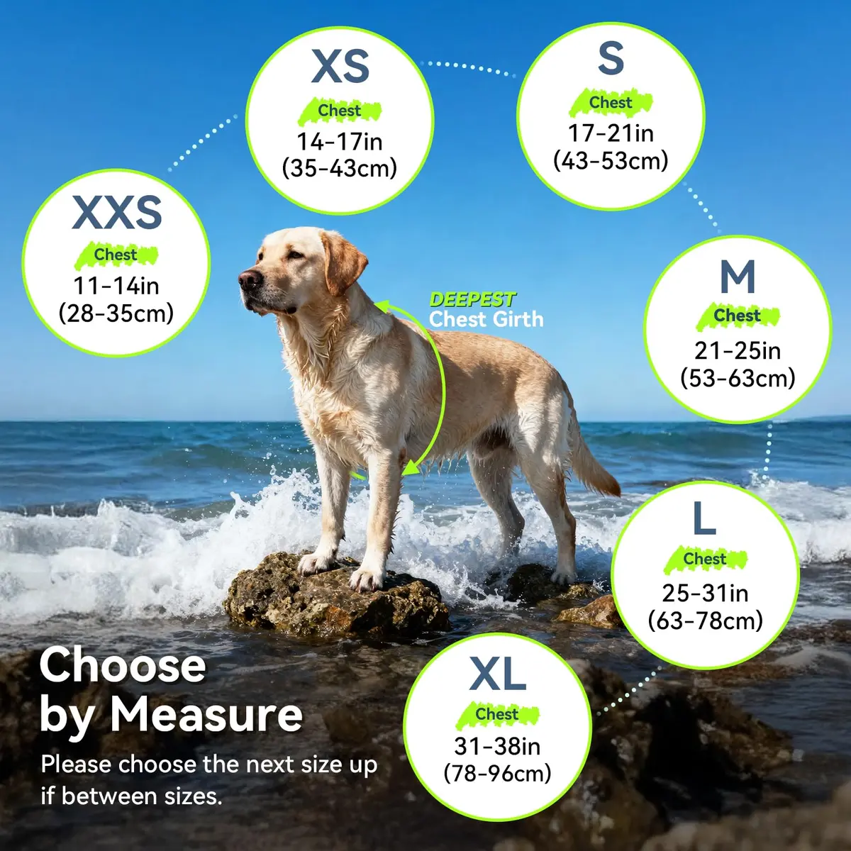 VIVAGLORY Dog Life Vest Rip Stop M Bright Yellow | Buoyant & Reflective for Water Safety - view 6