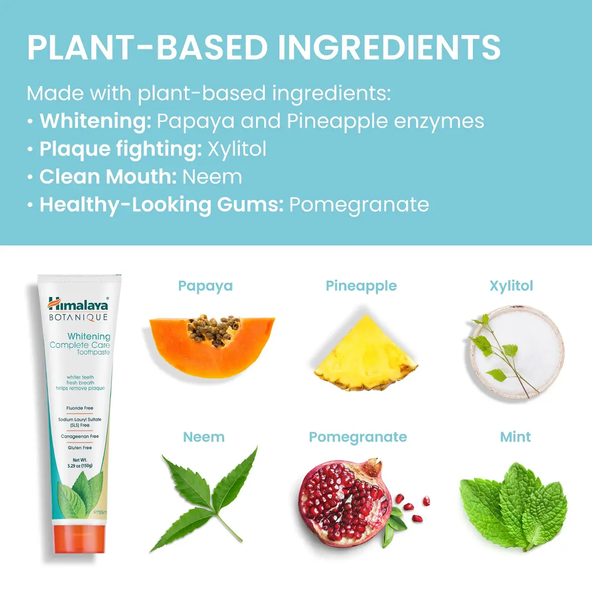 Himalaya Botanique Whitening Complete Care Toothpaste Mint 156g (5.29 oz) | Fluoride-Free Ayurvedic Formula - view 6