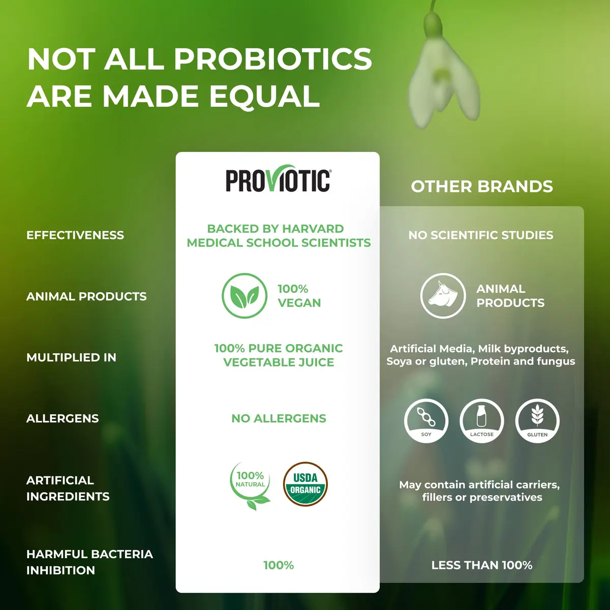 PROVIOTIC Vegan Probiotic Supplement 30 Count | Digestive & Immune Support in Vegan Capsule - view 4