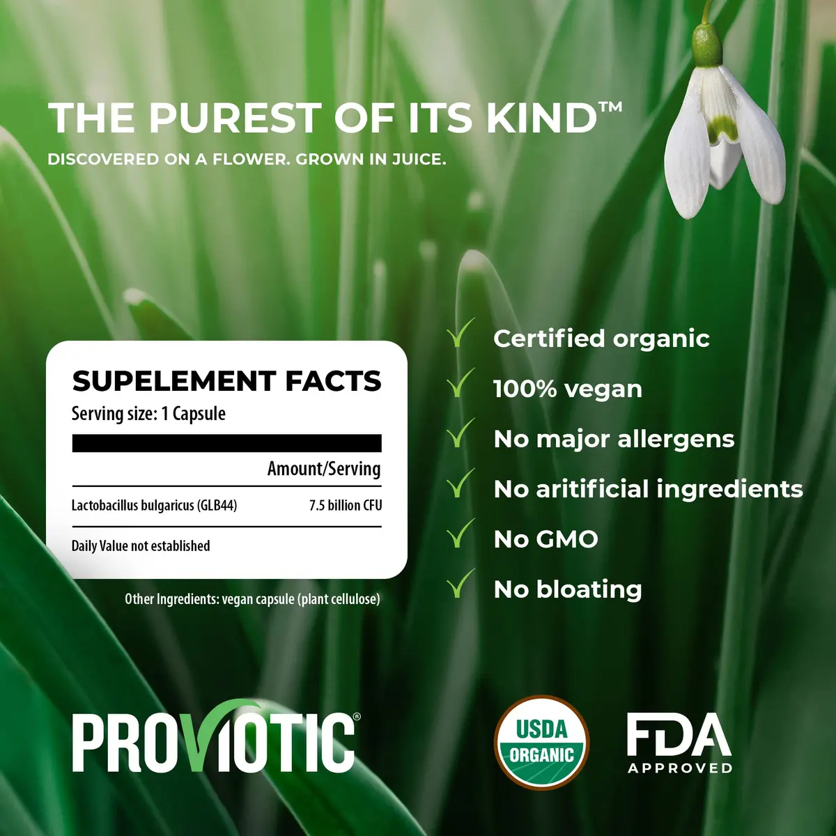 PROVIOTIC Vegan Probiotic Supplement 30 Count | Digestive & Immune Support in Vegan Capsule - view 3