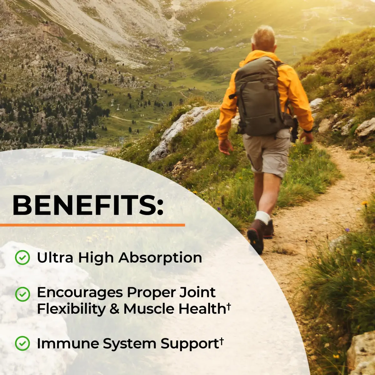 BioSchwartz Turmeric Curcumin with Black Pepper Extract 1500mg 90 Capsules | Supports Healthy Inflammatory Response - view 4