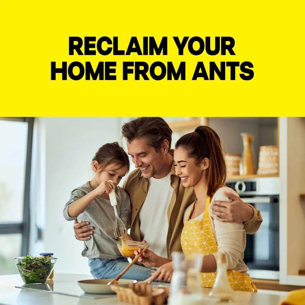 Raid Ant Killer Baits, Child Resistant, 8 Count | Kills Ants Where They Hide - view 4