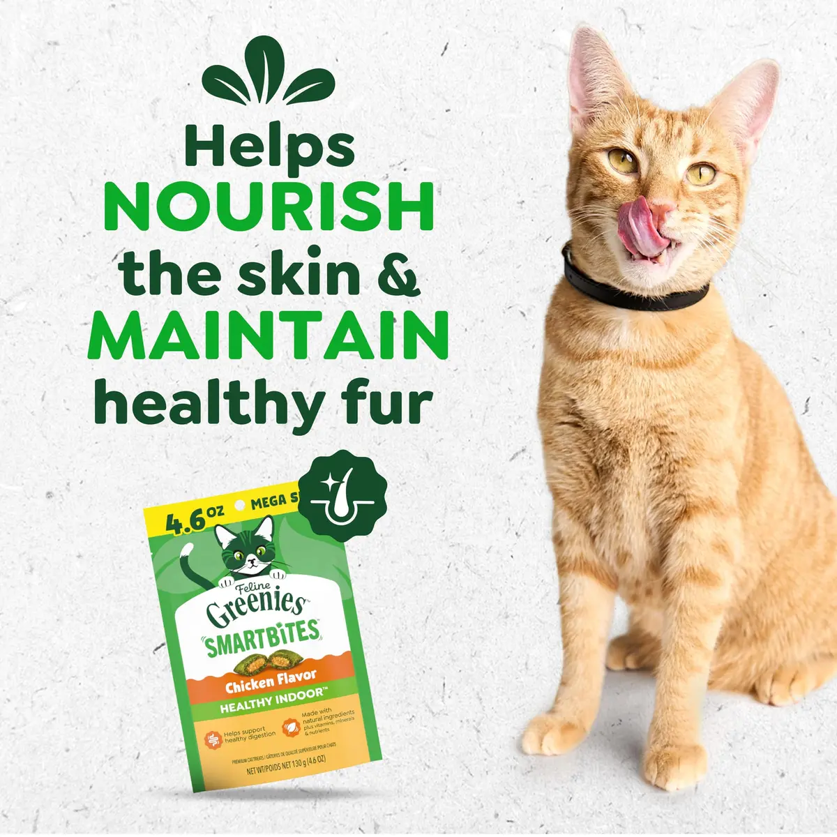 Greenies Feline Smartbites Healthy Indoor Cat Treats, Chicken, 4.6 oz | Supports Digestion & Weight - view 2