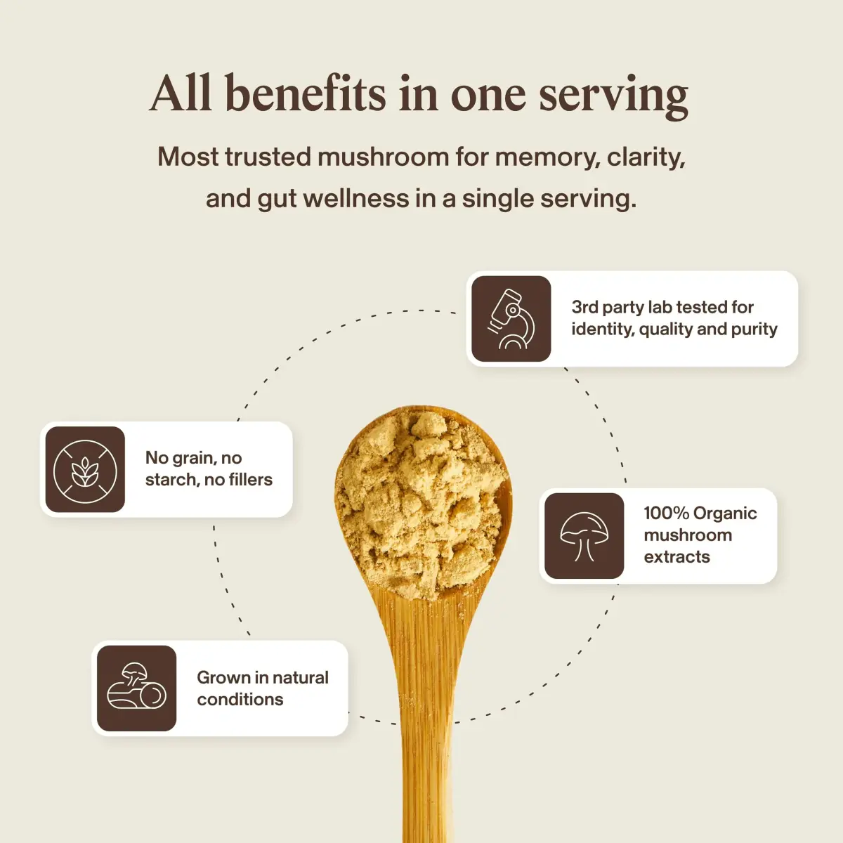 Real Mushrooms Lion's Mane Extract Powder 60 Servings | Organic Adaptogen for Focus & Clarity - view 8