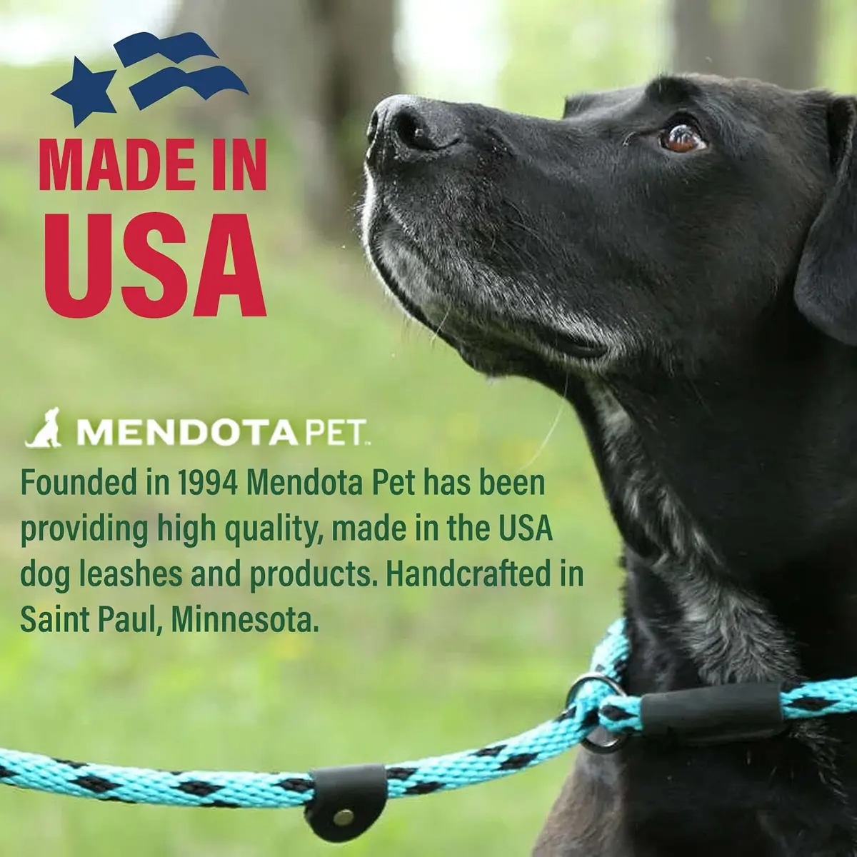 Mendota Pet Slip Leash - Dog Lead & Collar Combo - Made in The USA - Black Ice Red, 3/8 in x 6 ft | Ideal for Small/Medium Breeds - view 3