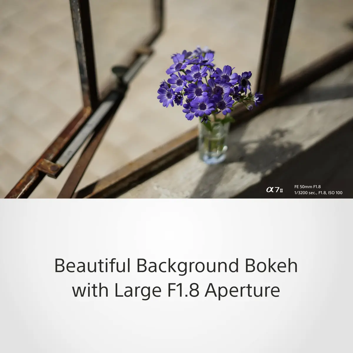 Sony FE 50mm F1.8 Standard Lens (SEL50F18F) Black | Sharp Portraits with Beautiful Bokeh - view 5