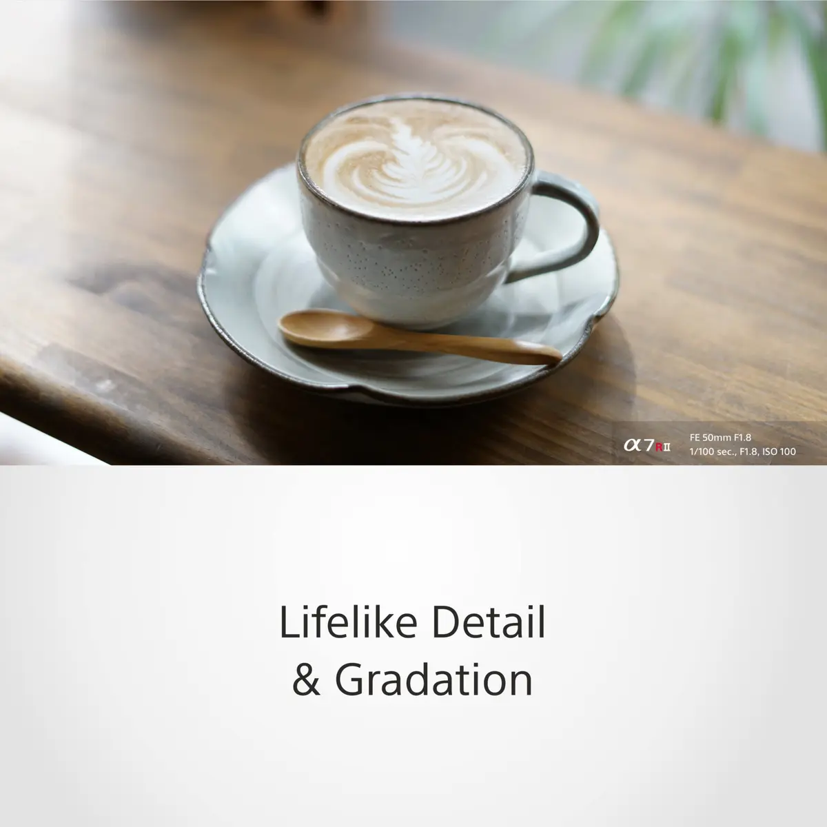 Sony FE 50mm F1.8 Standard Lens (SEL50F18F) Black | Sharp Portraits with Beautiful Bokeh - view 4