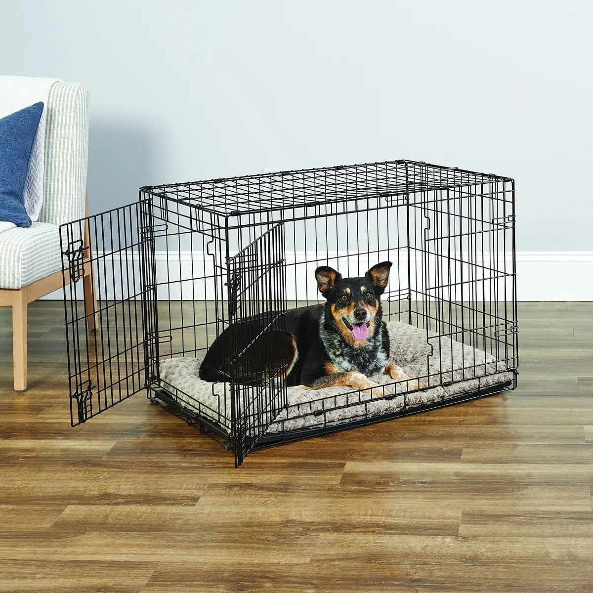 New World 36-Inch Double Door Dog Crate | 41-70 lbs, Durable Metal Wire, Rust-Resistant, Portable, Easy Setup - view 2