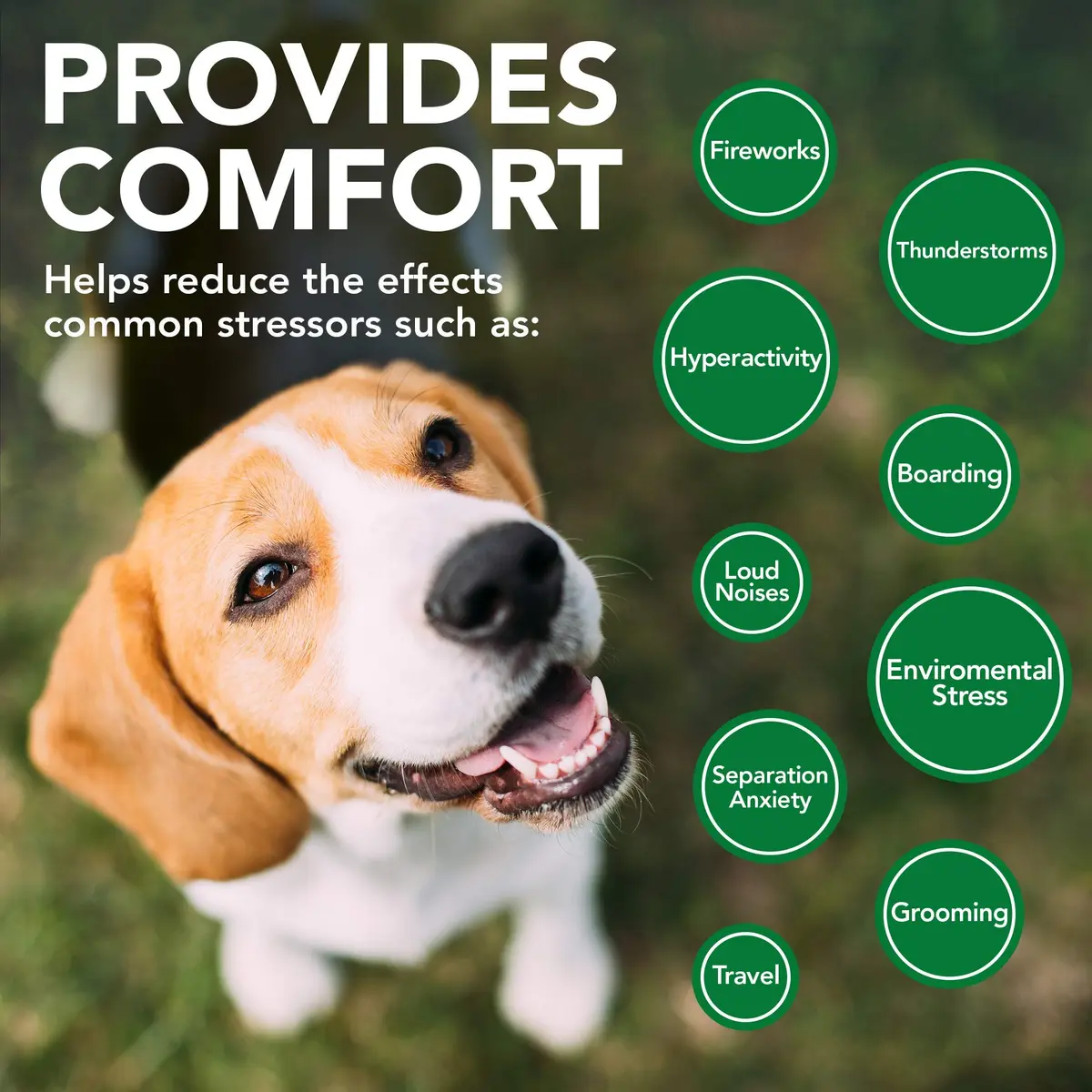 Vet's Best Comfort Calm Soft Chews for Dogs | Relaxation & Stress Support, 30 Day Supply - view 4