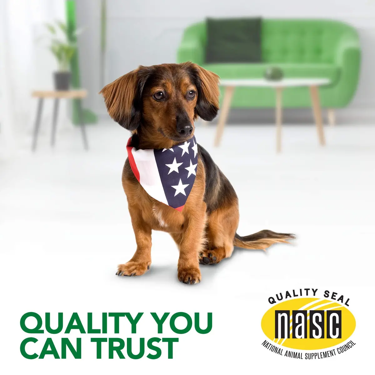 Vet's Best Comfort Calm Soft Chews for Dogs | Relaxation & Stress Support, 30 Day Supply - view 6