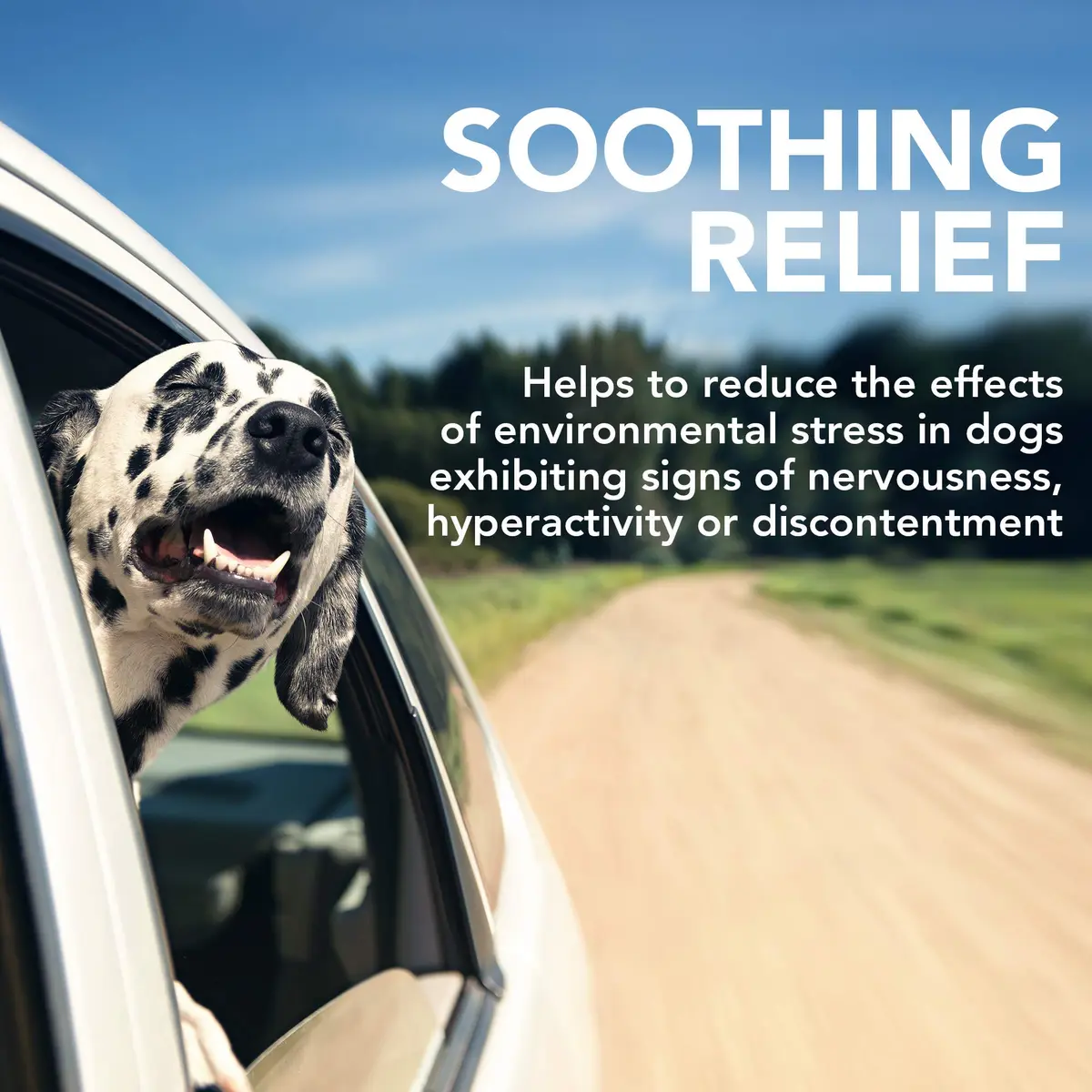 Vet's Best Comfort Calm Soft Chews for Dogs | Relaxation & Stress Support, 30 Day Supply - view 3