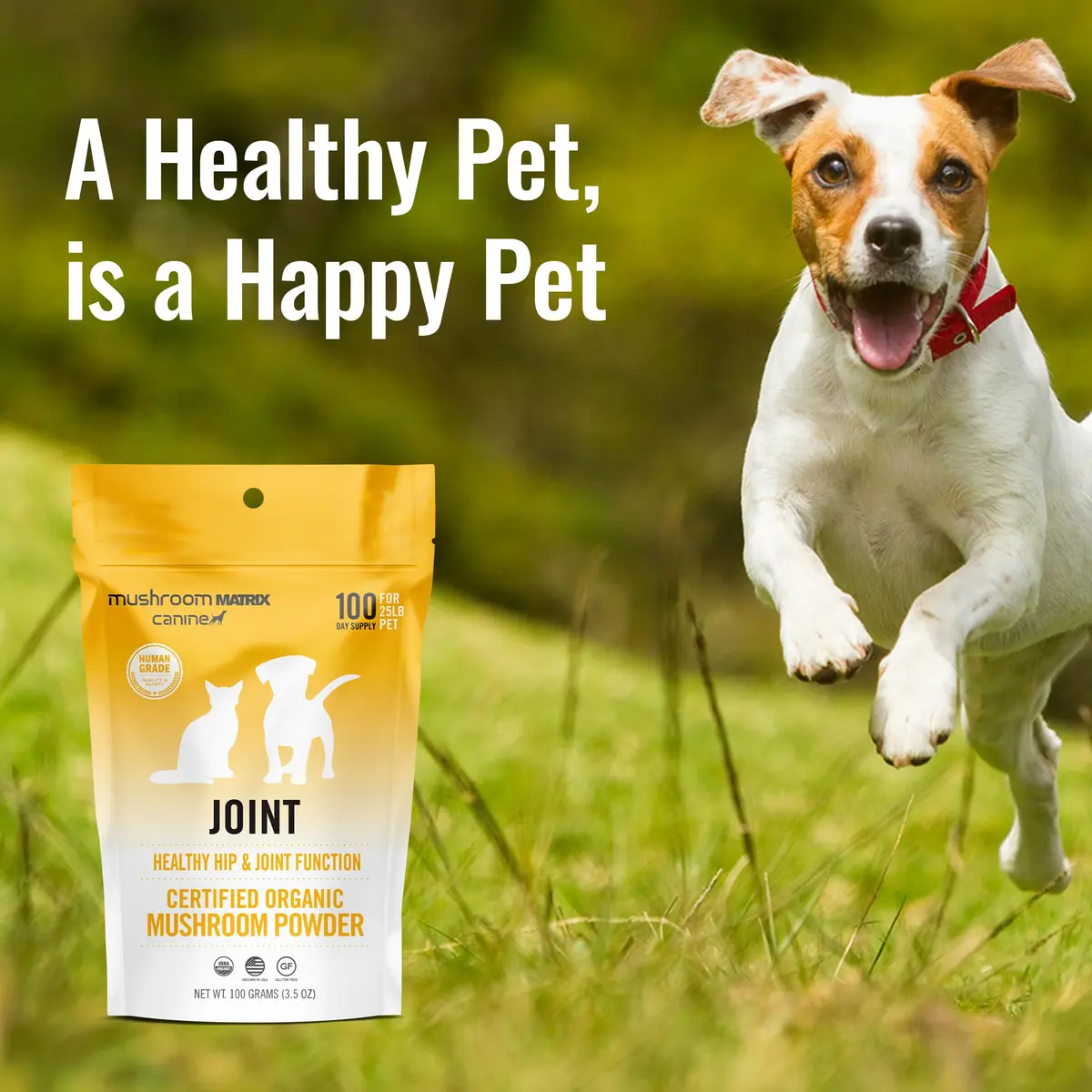 Mushroom Matrix Organic 3.5 oz | Pet Joint & Hip Support Supplement | USA Grown Human-Grade Mushroom Powder for Dogs & Cats - view 2