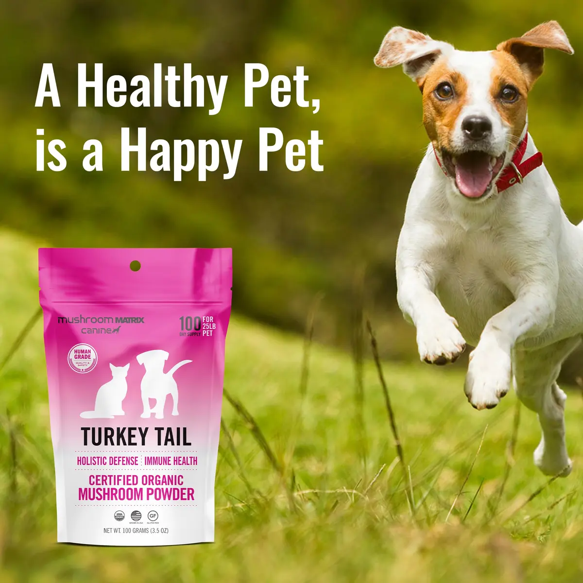 Mushroom Matrix Turkey Tail Mushroom Powder for Pets | Organic USA Grown Immunity Support (100g) - view 2