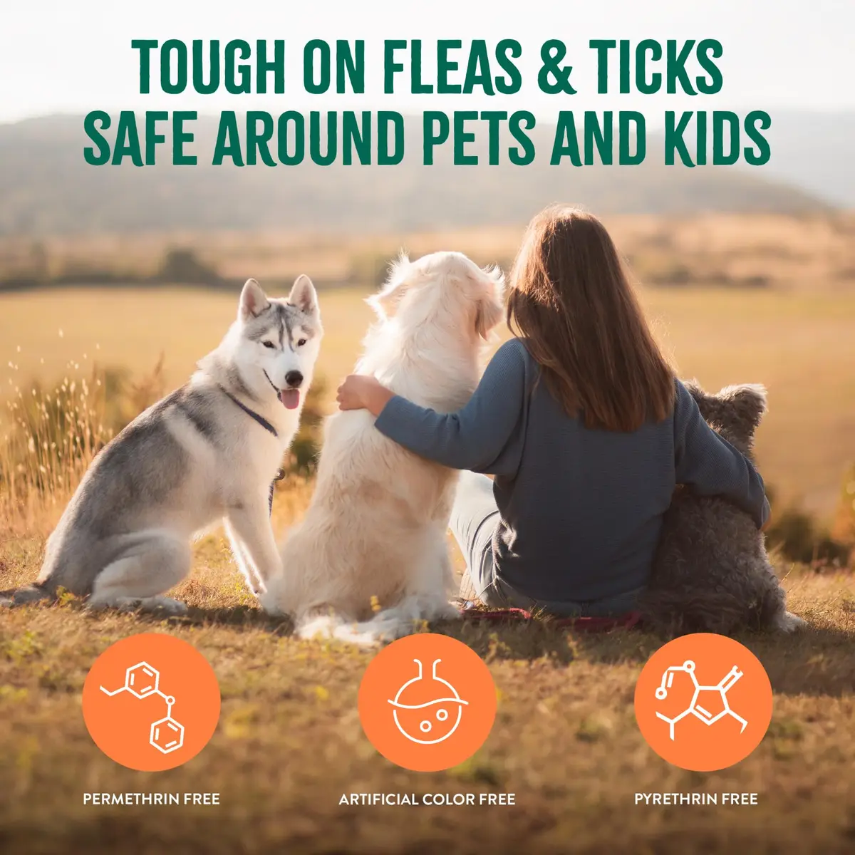 TropiClean Maximum Strength Flea Spray for Dogs & Home 16oz | Natural Flea & Tick Control - view 7