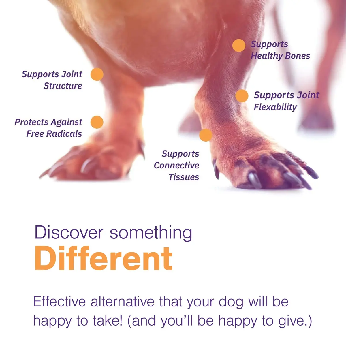 MOVOFLEX Soft Chew Hip & Joint Support for Large Dogs - 60ct | Palatable, No Loading Dose, 5-Ingredient Blend - view 5