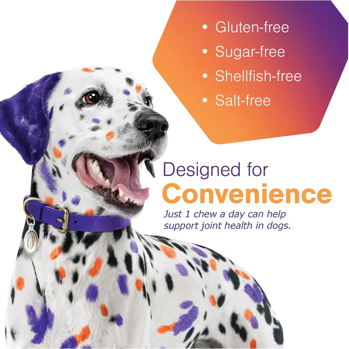 MOVOFLEX Soft Chew Hip & Joint Support for Large Dogs - 60ct | Palatable, No Loading Dose, 5-Ingredient Blend - view 3
