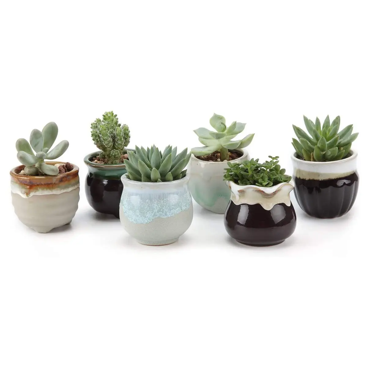 T4U Mini Ceramic Succulent Pots Set of 6 | Small Gift Planters for Indoor & Outdoor Decor - main product image