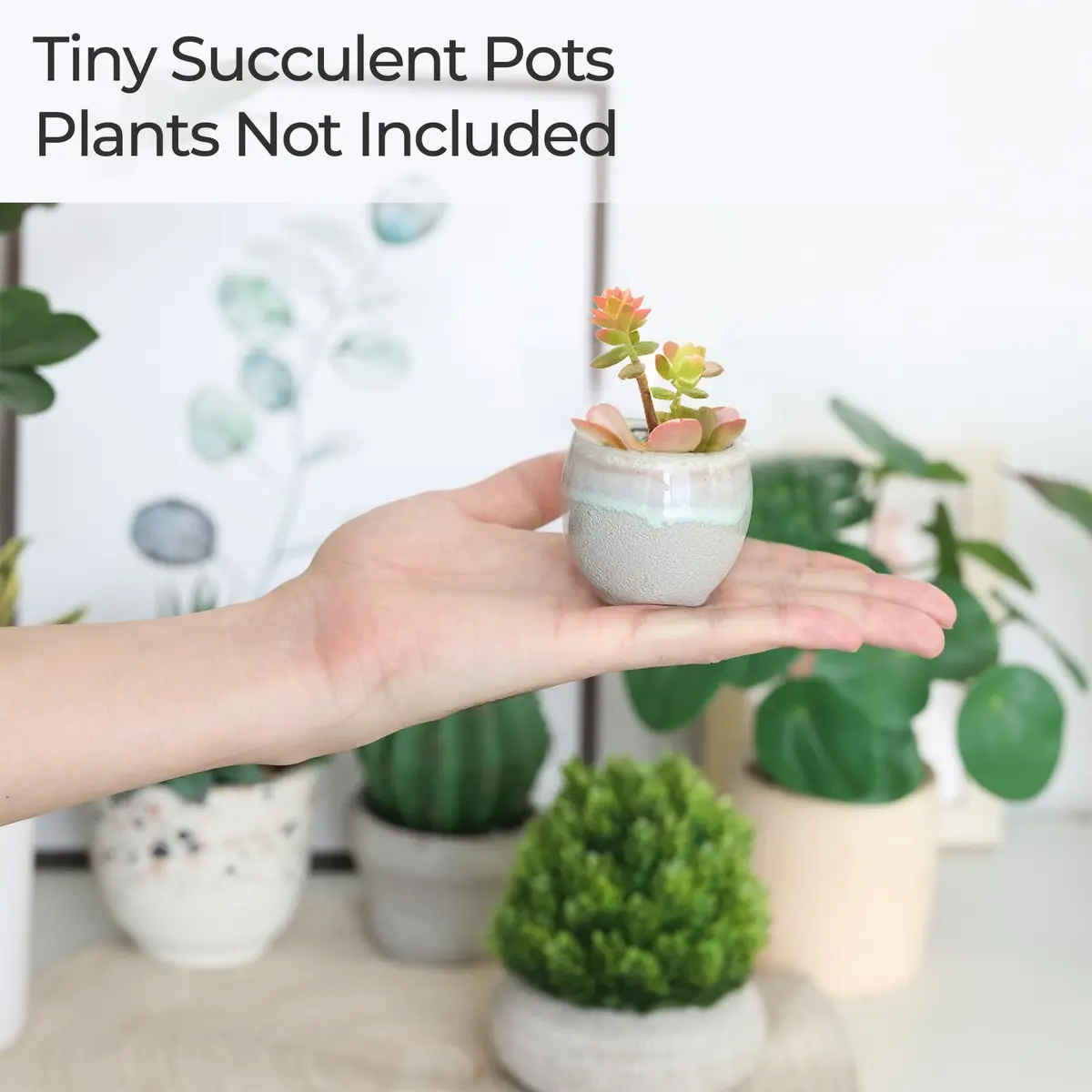 T4U Mini Ceramic Succulent Pots Set of 6 | Small Gift Planters for Indoor & Outdoor Decor - view 5