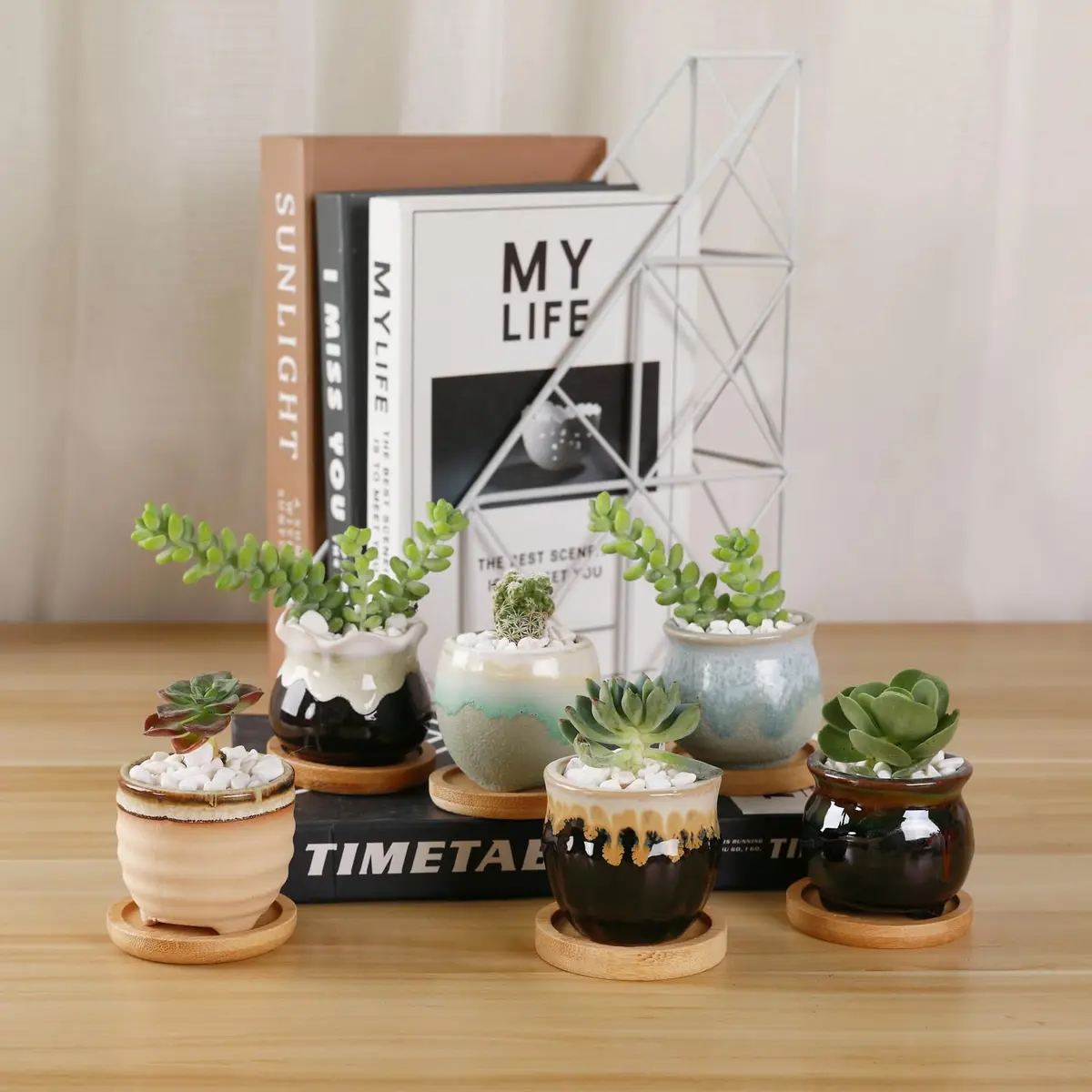 T4U Mini Ceramic Succulent Pots Set of 6 | Small Gift Planters for Indoor & Outdoor Decor - view 6