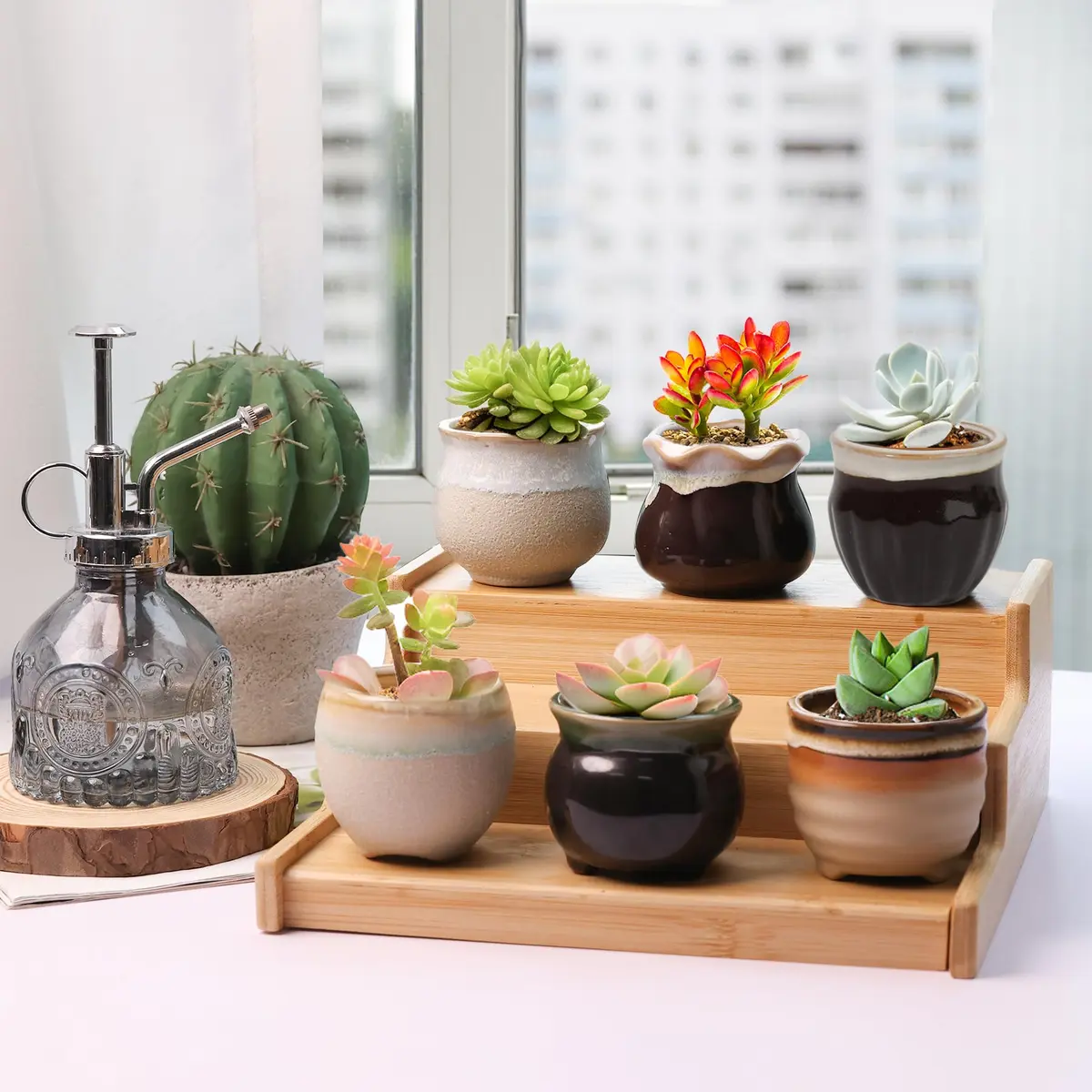T4U Mini Ceramic Succulent Pots Set of 6 | Small Gift Planters for Indoor & Outdoor Decor - view 7