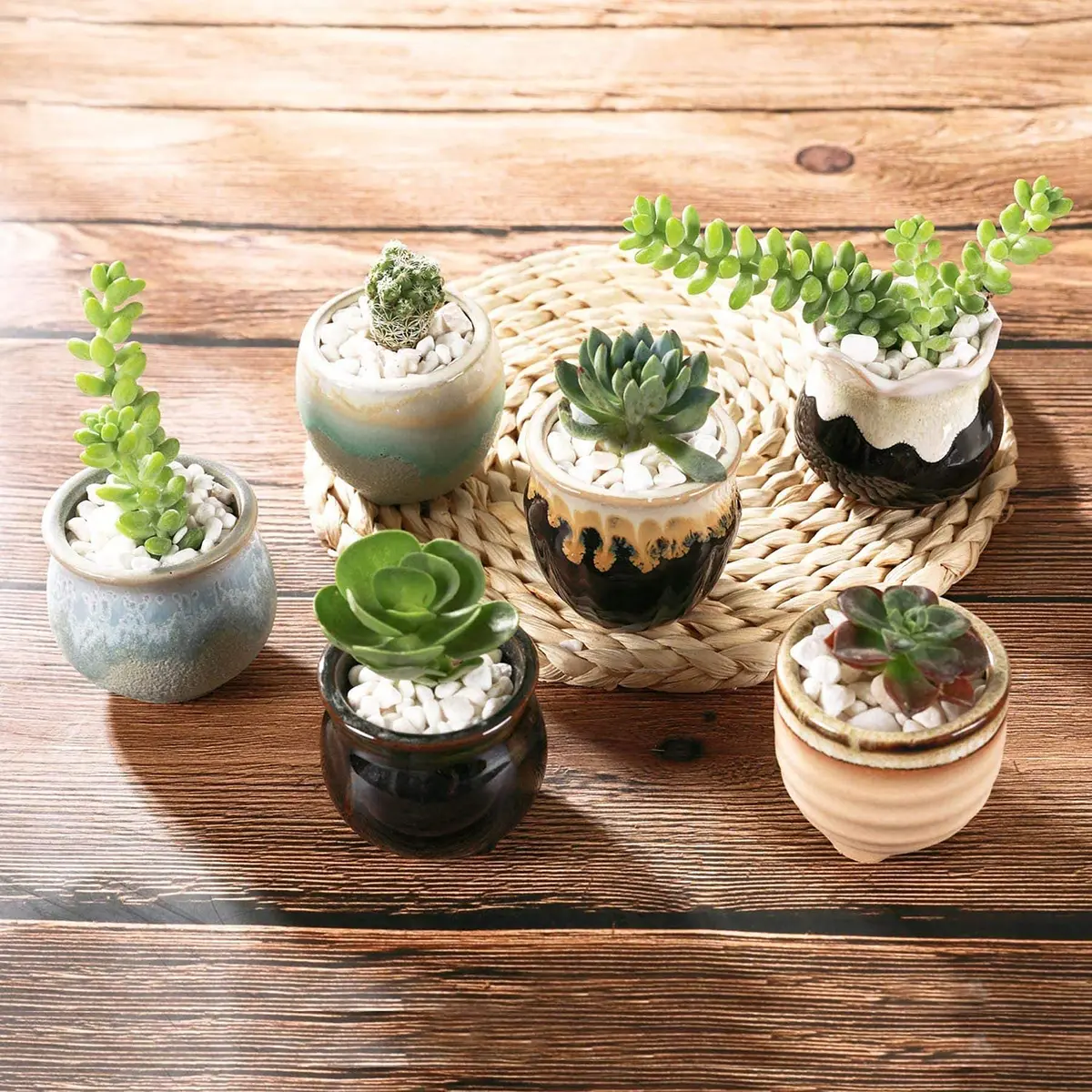 T4U Mini Ceramic Succulent Pots Set of 6 | Small Gift Planters for Indoor & Outdoor Decor - view 8