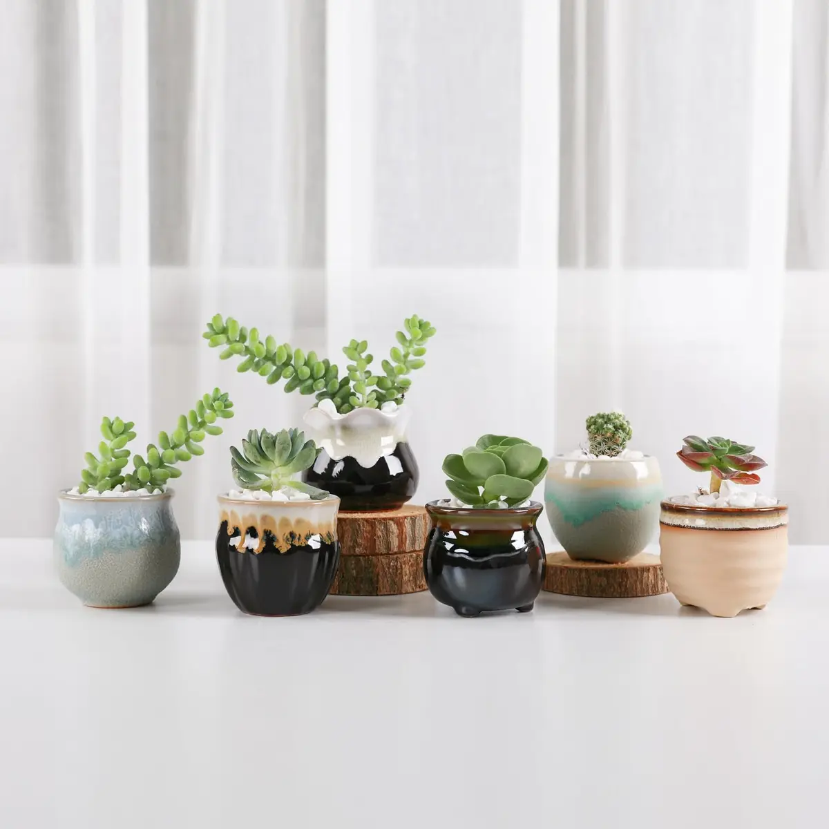 T4U Mini Ceramic Succulent Pots Set of 6 | Small Gift Planters for Indoor & Outdoor Decor - view 4