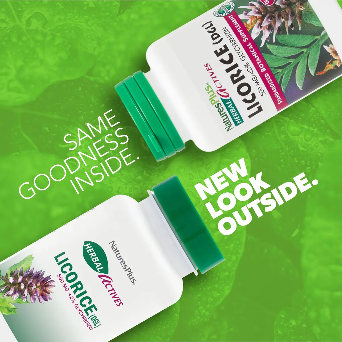NaturesPlus Herbal Actives Licorice (DGL) 500 mg | Supports Digestion & Well-Being | Vegetarian, Gluten Free - view 2