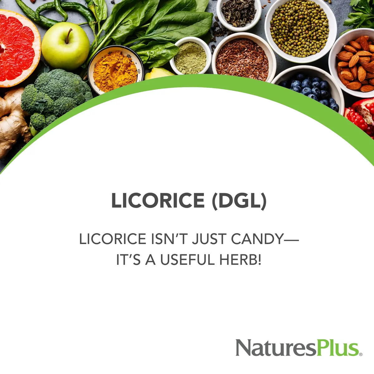 NaturesPlus Herbal Actives Licorice (DGL) 500 mg | Supports Digestion & Well-Being | Vegetarian, Gluten Free - view 3