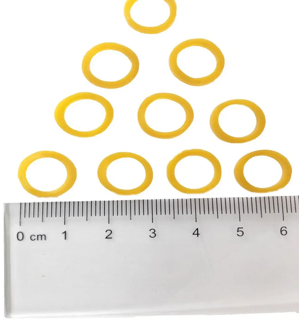 PET SHOW 1000pcs (0.11 lb) Bulk Dog Rubber Bands for Hair Grooming | Strong Hold for Top Knots - main product image