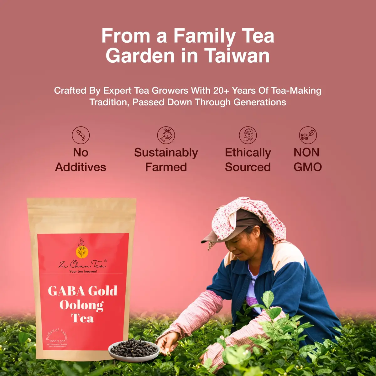 Zi Chun Tea GABA Oolong Loose Leaf Tea 100g (3.5 oz) | Taiwanese Oolong with Honey & Toasted Grain Notes - view 7