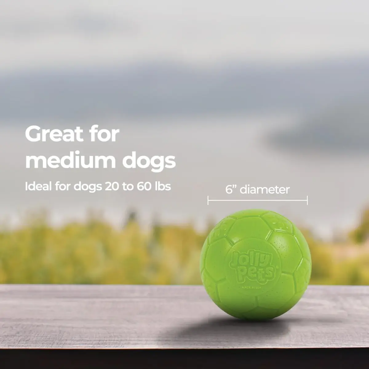 Jolly Pets Medium Soccer Ball Dog Toy 15.24 cm (6 inch) | Floating & Bouncing Fetch Ball for Dogs - view 5