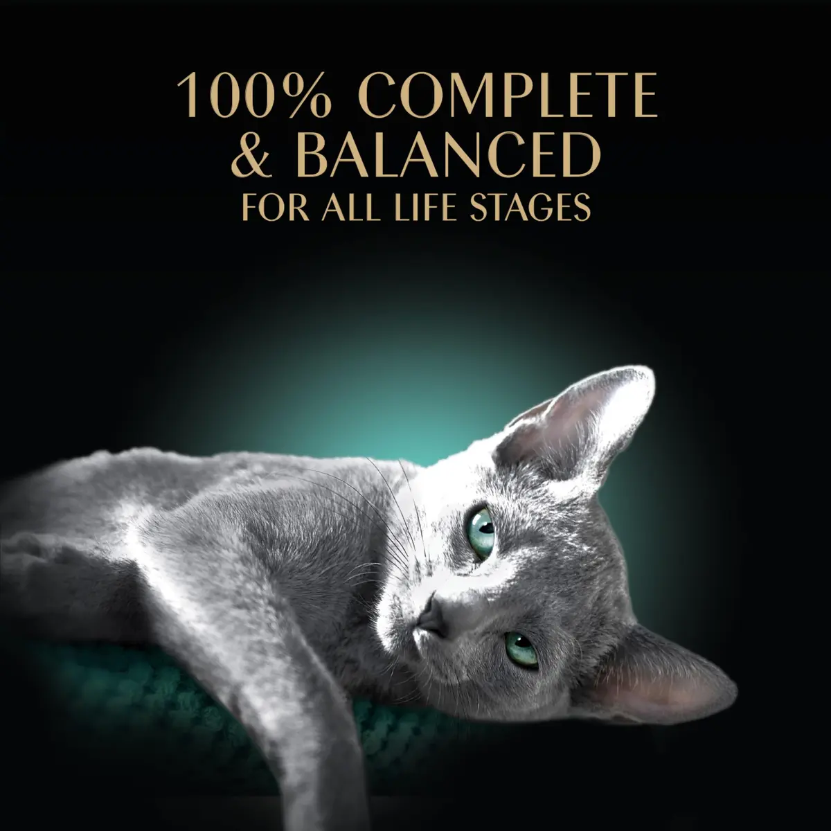 Sheba Perfect Portions Wet Cat Food Pate Signature Seafood Entree, 2.6 oz. Twin-Pack Tray | Grain-Free, Protein-Rich, Made in USA - view 4