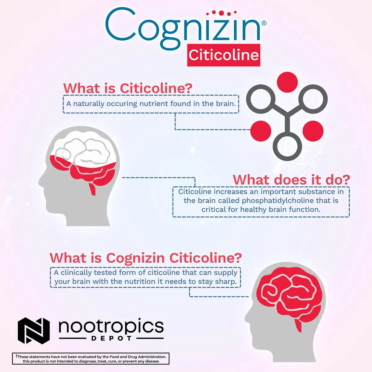 Nootropics Depot Cognizin Citicoline Capsules | 180 Count | Brain Health Supplement | Supports Focus & Memory - view 5