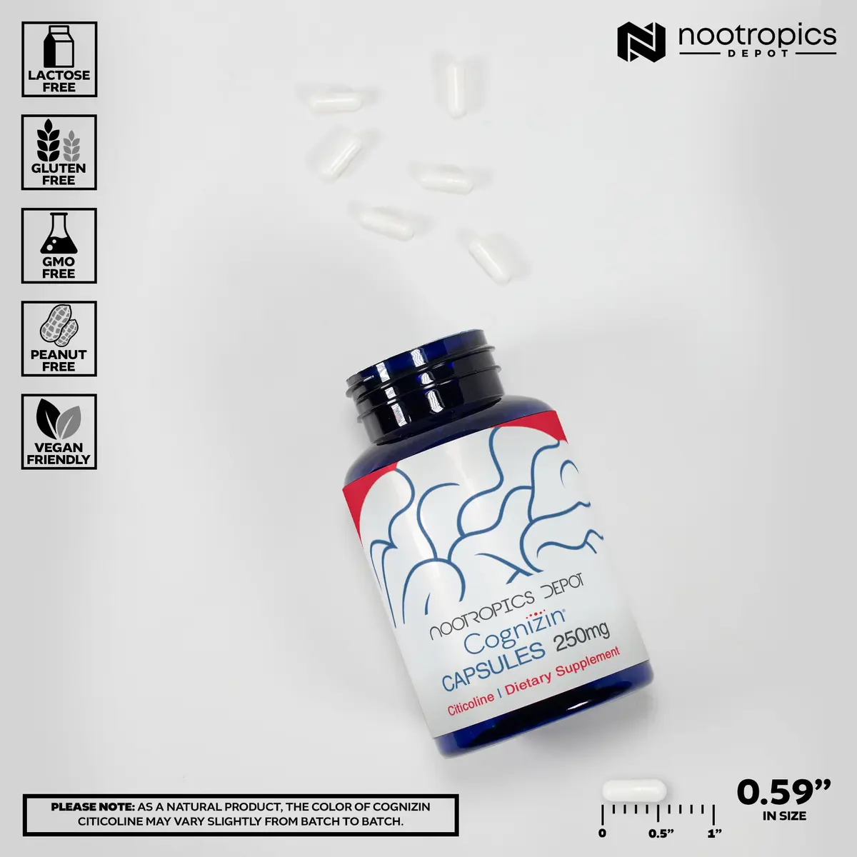 Nootropics Depot Cognizin Citicoline Capsules | 180 Count | Brain Health Supplement | Supports Focus & Memory - view 3