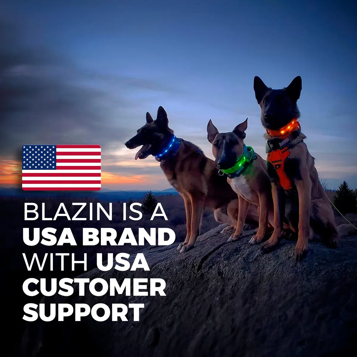 Blazin LED Dog Collar 1,000 Feet Visibility Waterproof USB Rechargeable | Bright & Safe Night Light for Small, Medium, Large Dogs - view 8
