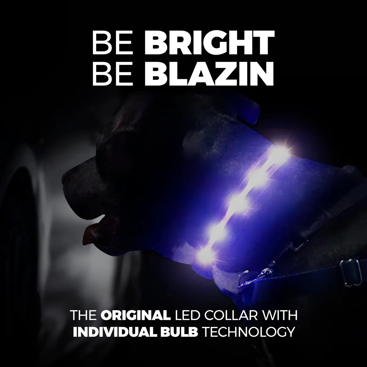 Blazin LED Dog Collar 1,000 Feet Visibility Waterproof USB Rechargeable | Bright & Safe Night Light for Small, Medium, Large Dogs - view 2