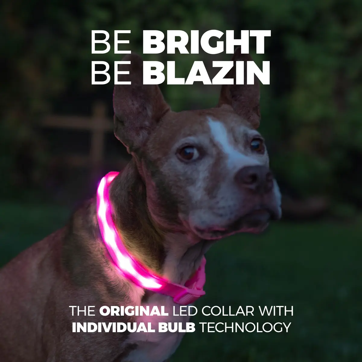 Blazin LED Dog Collar 1" Waterproof USB Rechargeable Safety Light for Small, Medium, Large Dogs - view 2