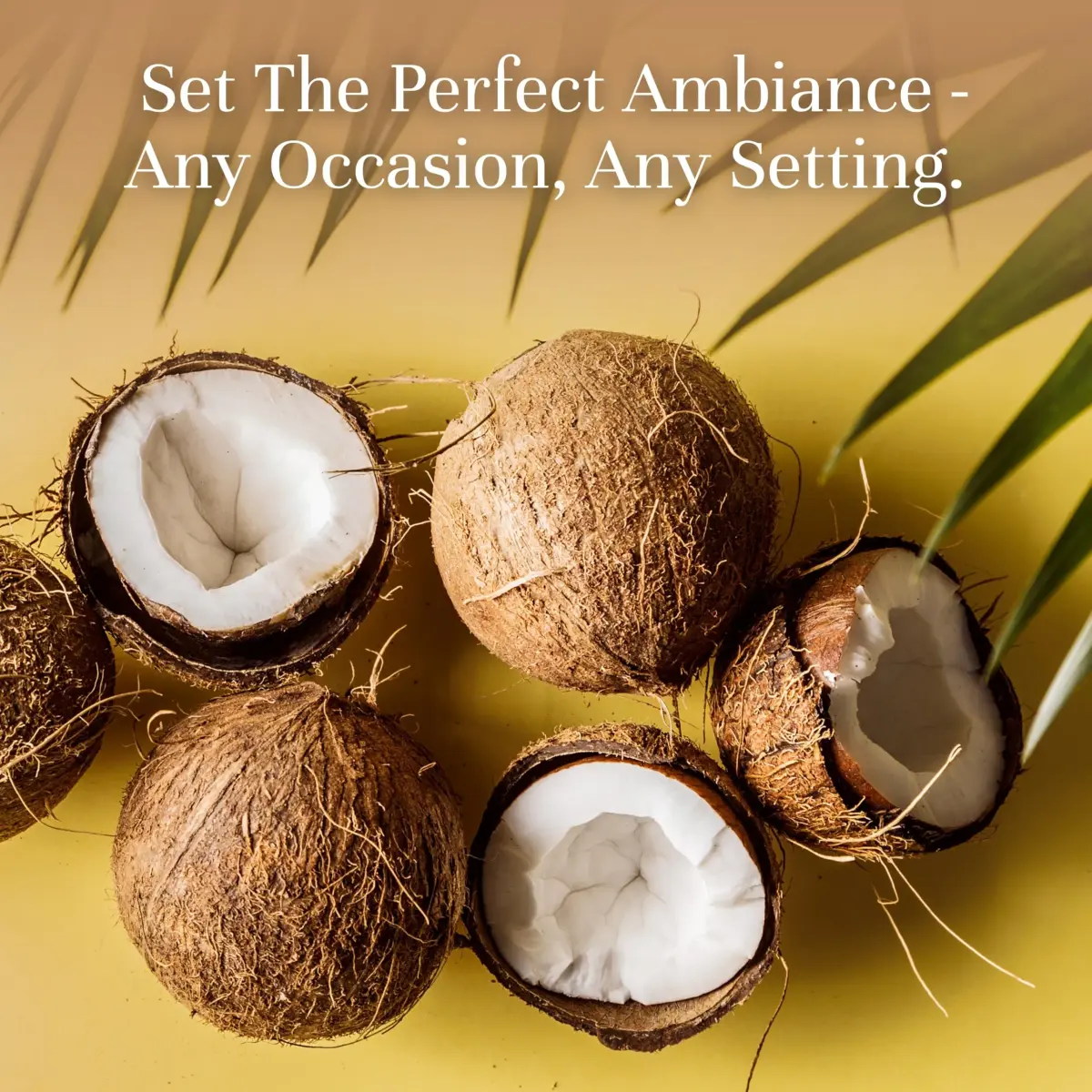 P&J Trading Coconut Fragrance Oil 100ml (3.38 Fl Oz) | USA Imported for Candle & Diffuser Scents - view 2