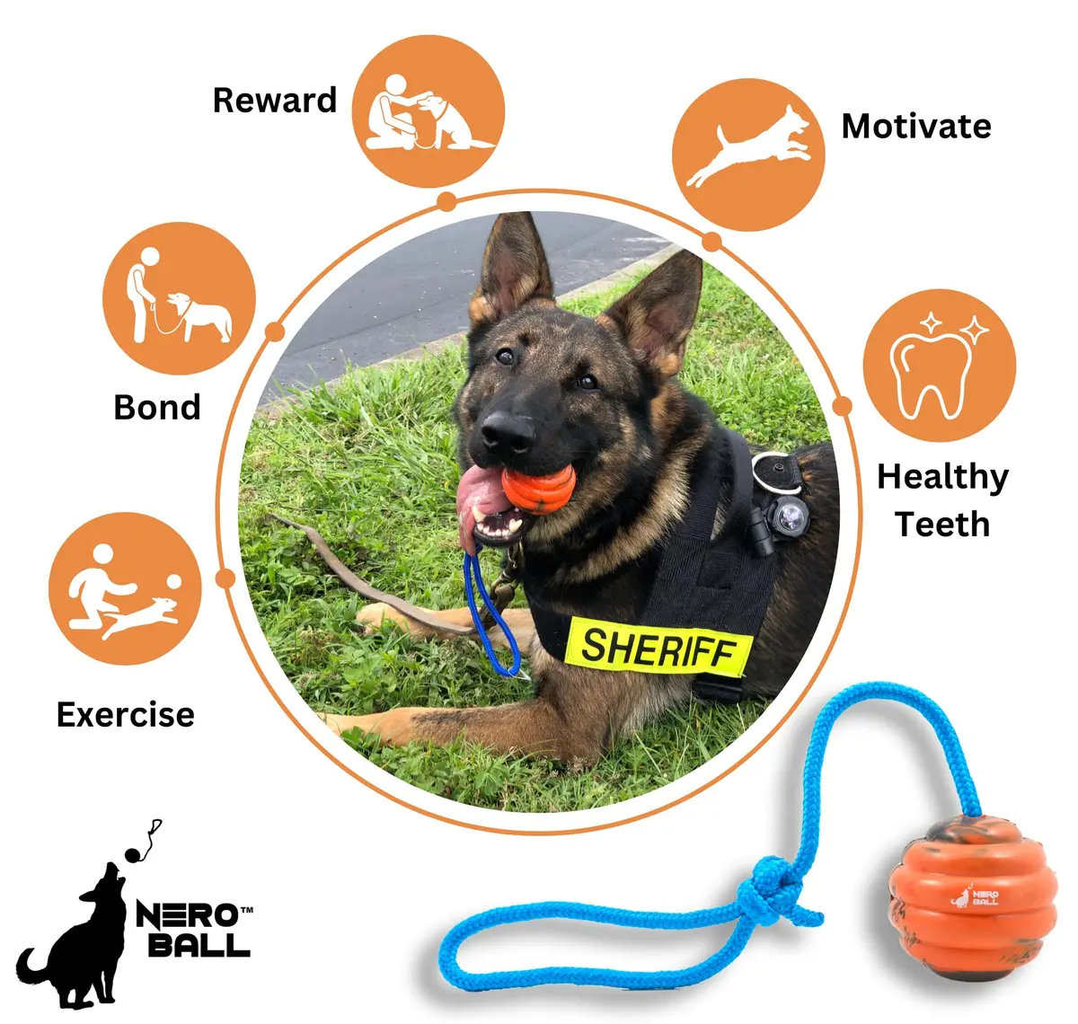 The Nero Ball Pro K-9 Dog Training Ball on Rope – 2.75″ Heavy-Duty Natural Rubber Reward & Tug Toy with Nylon Handle - view 5